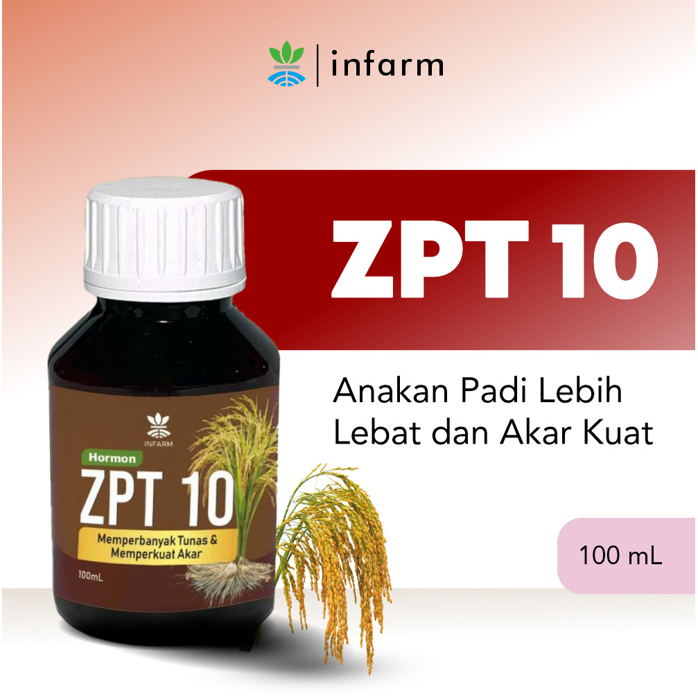 INFARM - Perangsang Akar ZPT 10 Penguat Batang Akar Tanaman 100ML Hormon Penumbuh akar untuk Stek Ca