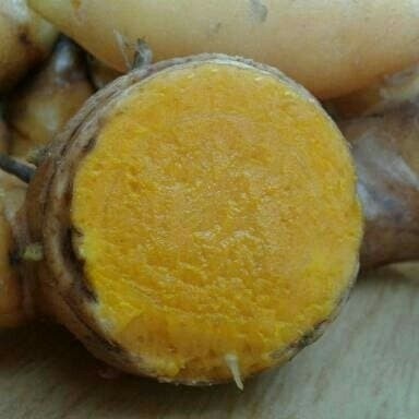 

silahkan COD Redy stok Temu lawak segar Terlaris ..
