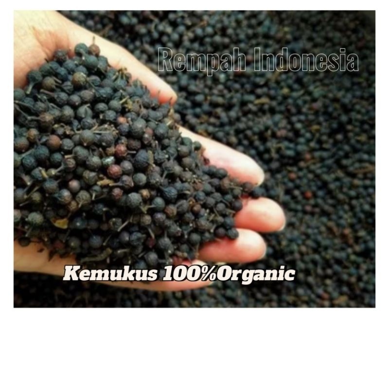 

Kemukus Kering 1 Kg / Herbal Kemukus