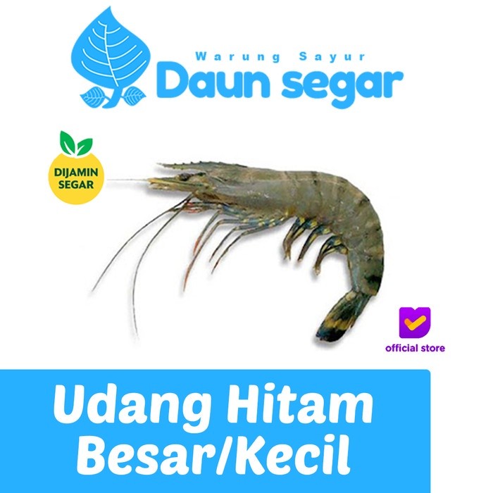 

Udang Hitam Kecil dan Besar1/4kg - Premium Quality