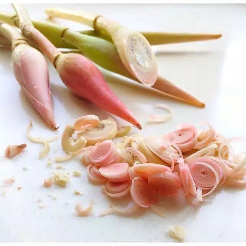 

Promo kecombrag segar langsung petik dari kebun bunga honje/rombeh murah/1 bji 2 COD