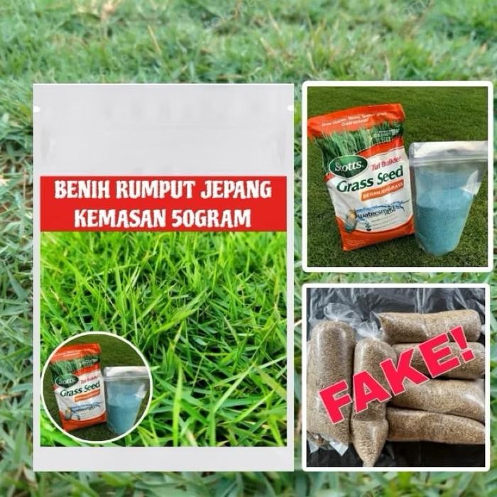50gram benih rumput jepang -bibit rumput jepang original