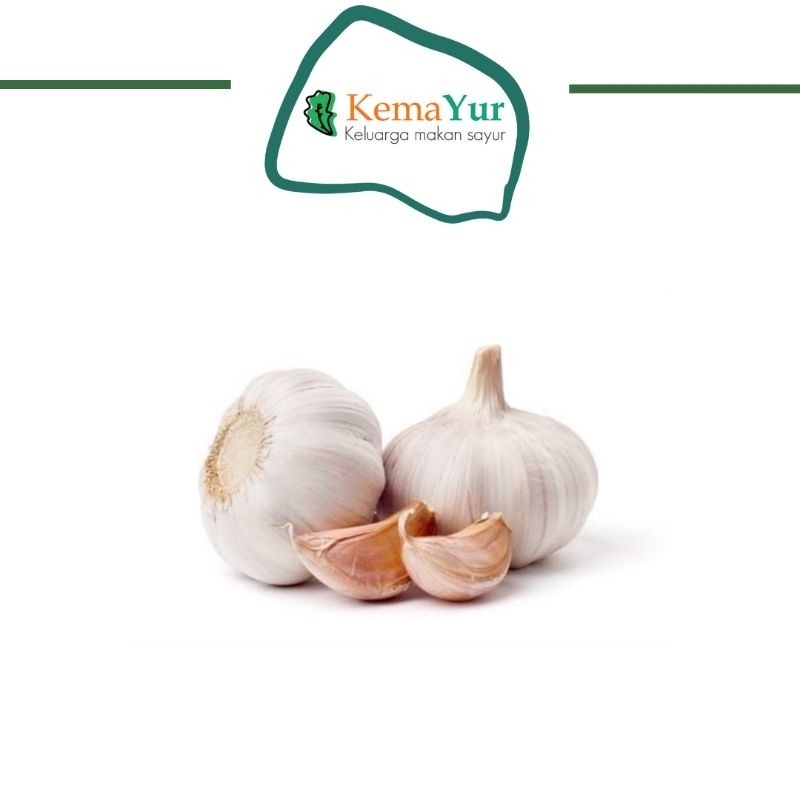 

BAWANG PUTIH KATING GROSIR 1KG