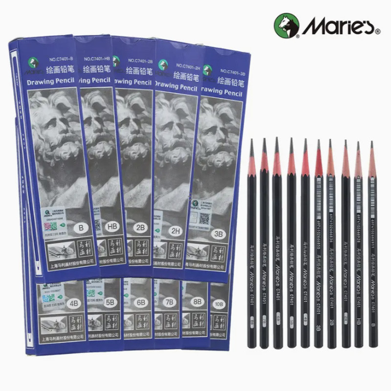 

12pcs Sketch Pencils Graphite,Professional Sketching Pencil Set for Artists,Shading,Writing for Adults,Students