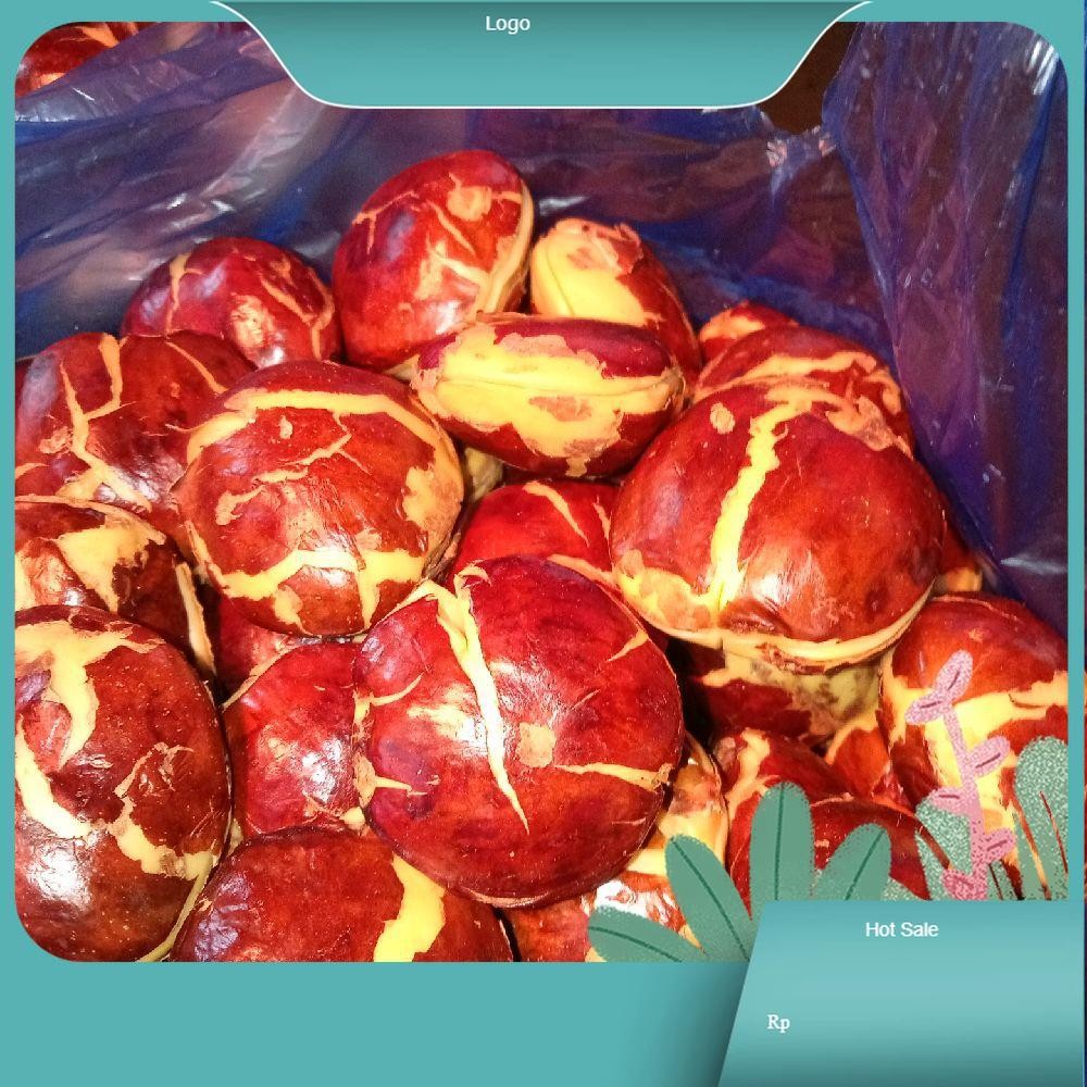 

jengkol tua asli jengki jengkol enak bergizi Masakan Sayur Makanan