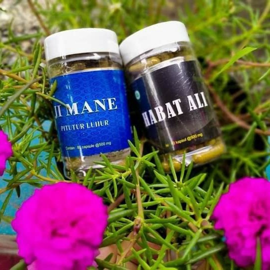 

Kapsul Habat Ali AGEN RESMI ASLI | PROMO | Bisa COD