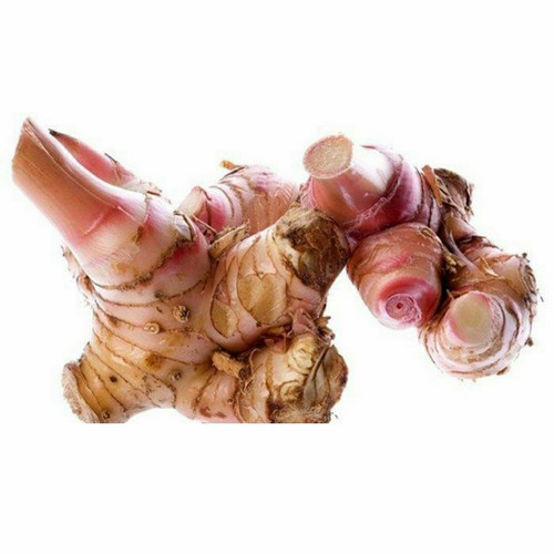 

Lengkuas Segar 250gr | Sayur Segar Medan