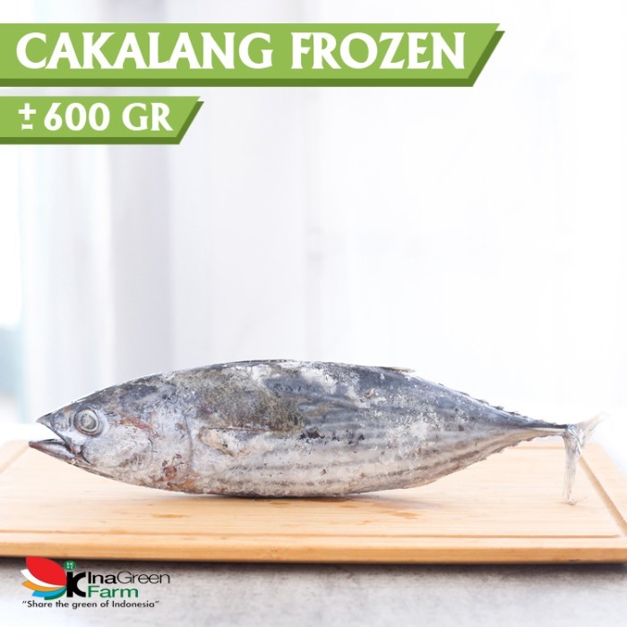 

Inagreen Farm Bandung Ikan Cakalang Frozen