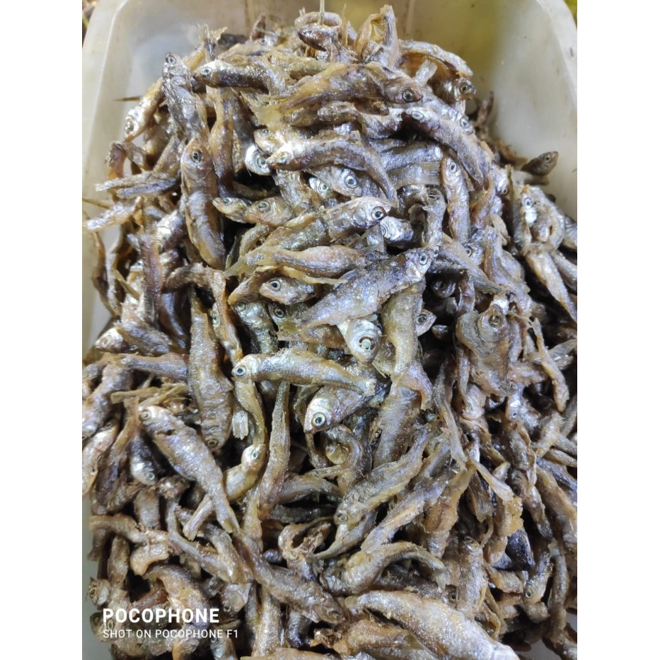 

Ikan Bilih Danau Singkarak | Bilis Padang Asli - 1/2 kg