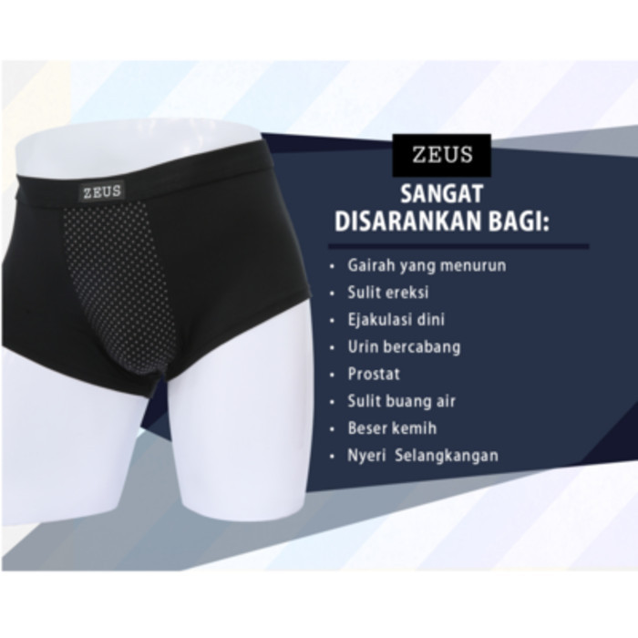 Terlaris ✨ -ZEUS UNDERWEAR - CELANA DALAM KESEHATAN ( SIZE M - XXL ) - M, 2 pcs