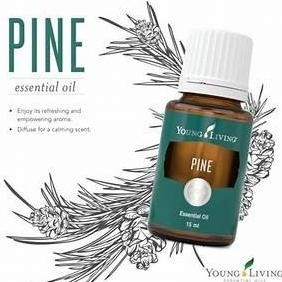 young living promo DISKON ! Young living pine essentials oil yl pine 15ml original oil pine 15ml fla