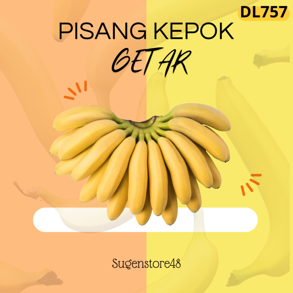 

TERSEDIA KEMBALI GEDANG KEPOK DL757