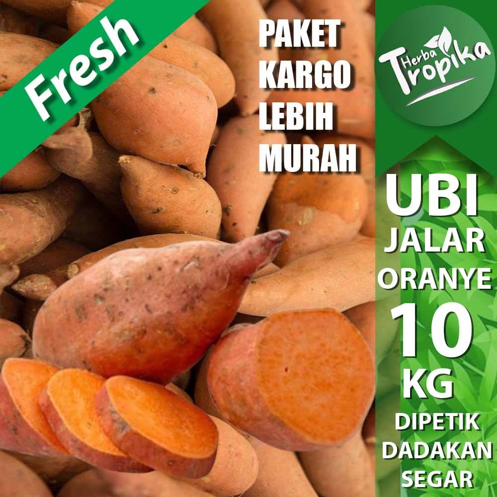 

Paket Kargo Umbi Ubi Jalar Oranye 10 kg fresh kualitas unggul toko herba tropika