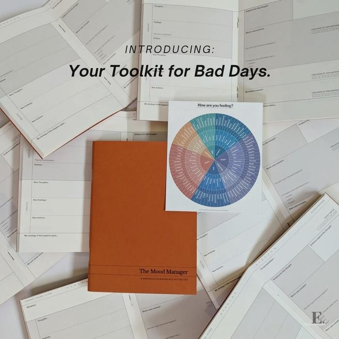

READY The Mood Manager | A Workbook on Making Bad Days Better | Mood Journal by Envision Planner SIAP KIRIM