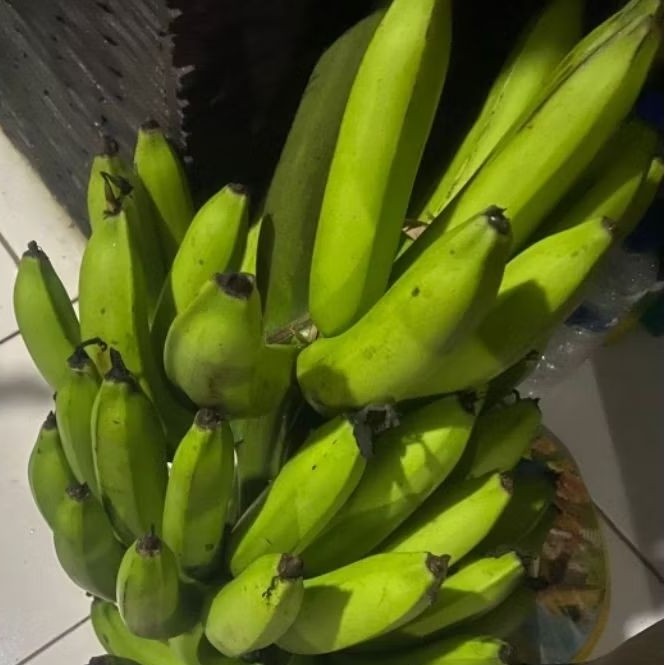 

Buah Pisang Mentah MWH LX Pisang Bangkaulu Fresh