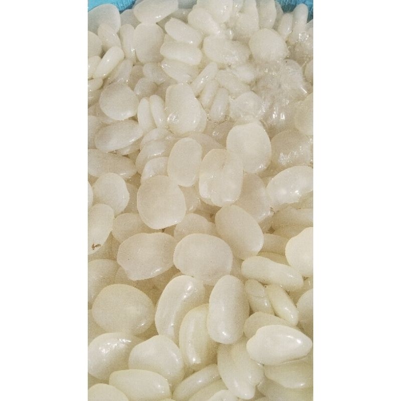 

1 kg kolang kaling cangkaleng caruluk mentah non sortir fresh langsung dari petani