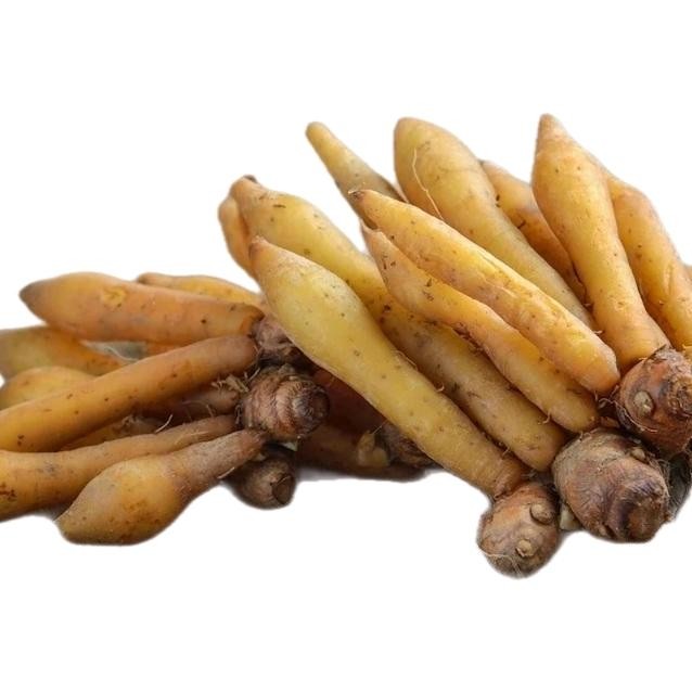 

Ready stok JUAL TEMU KUNCI SEGAR 500 GRAM ALAMI-BUMBU SAYUR BENING Bahan Masakan Herbal Rempah Food Rina Erlina