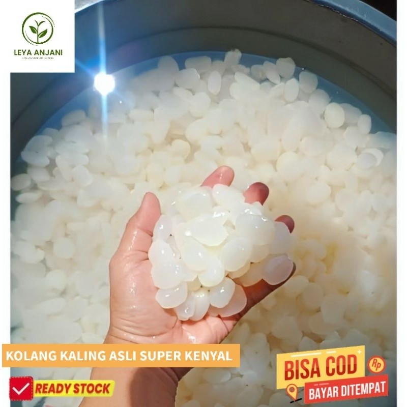 

Biji Kolang Kaling Muda Super 500 gram