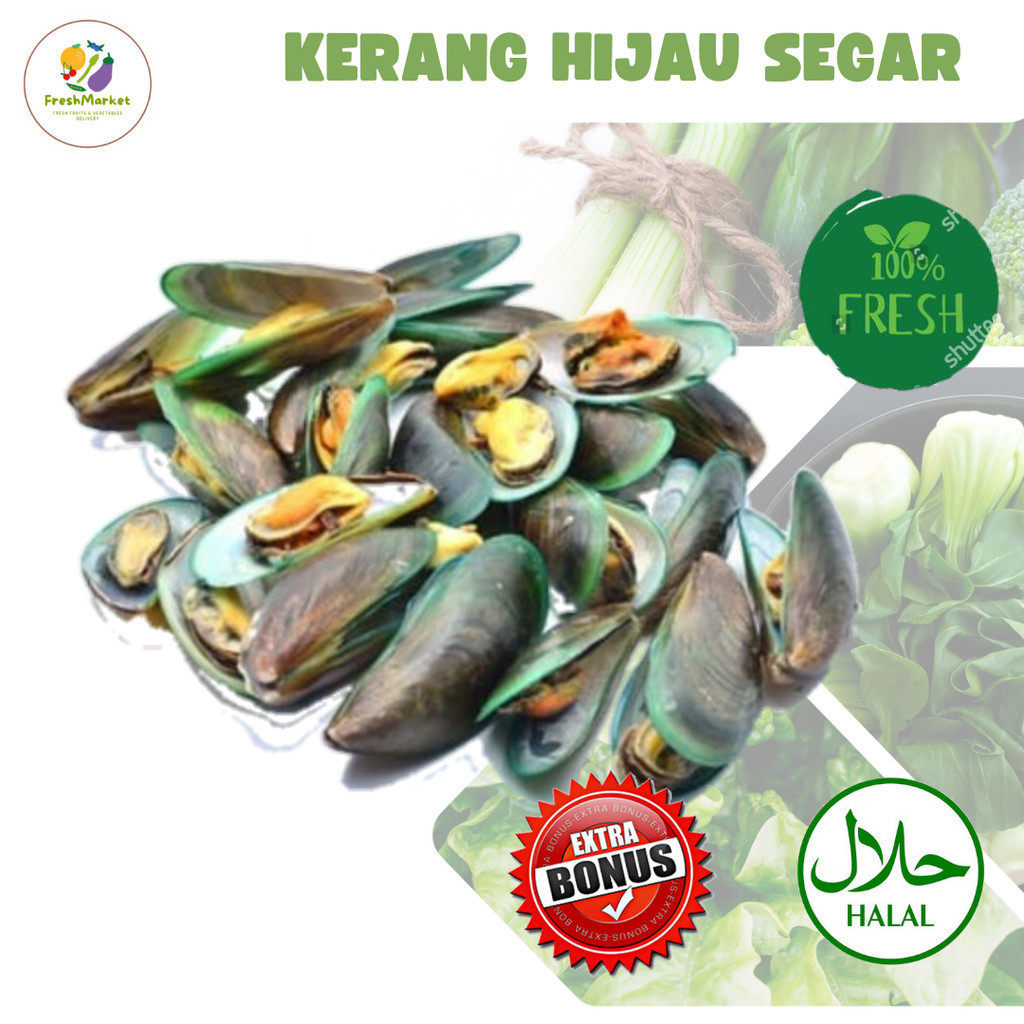 

Kerang Hijau 500 Gram Sayurinstant