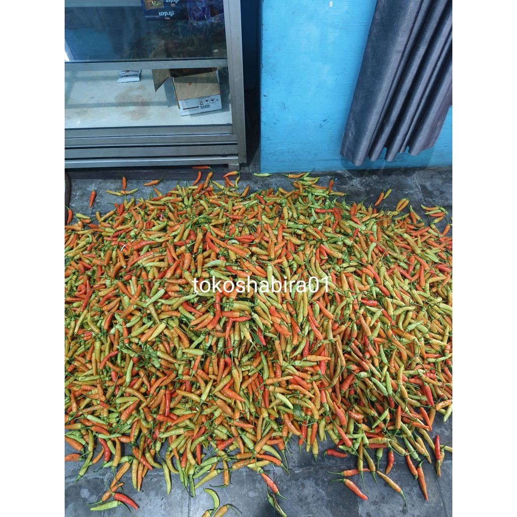 

Paket CABE CABAI RAWIT MERAH TERMURAH ORI 1KG FRESH PETIK BARU