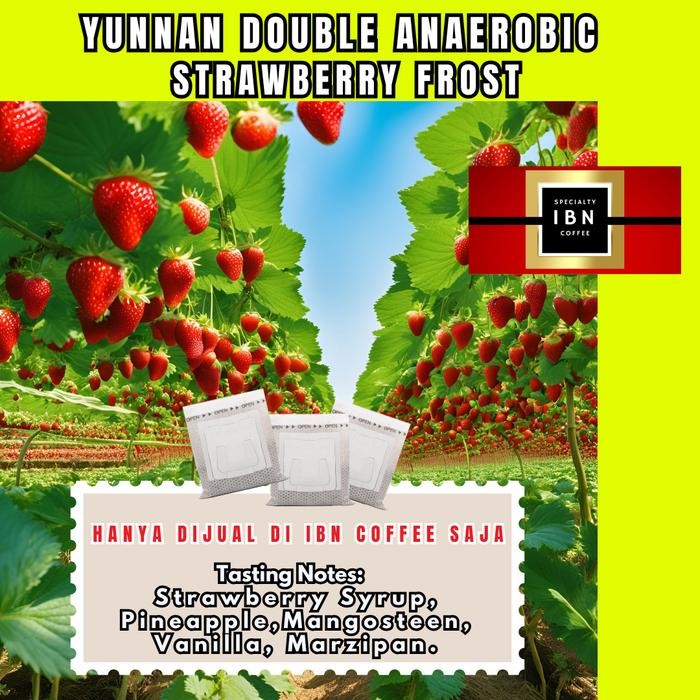 

Kopi Yunnan Double Anaerobic Strawberry Frost - 100 Arabica - Beans 100gr