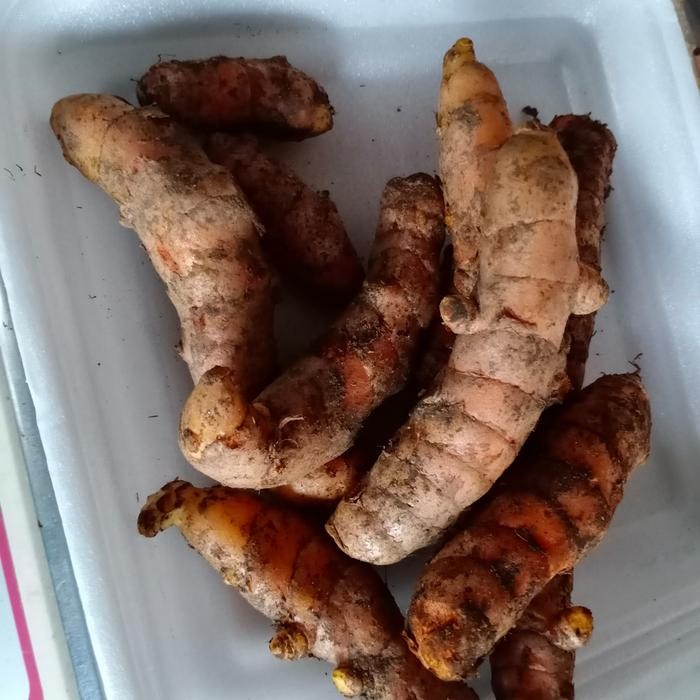 

Kunyit Segar 500 gram Shop with