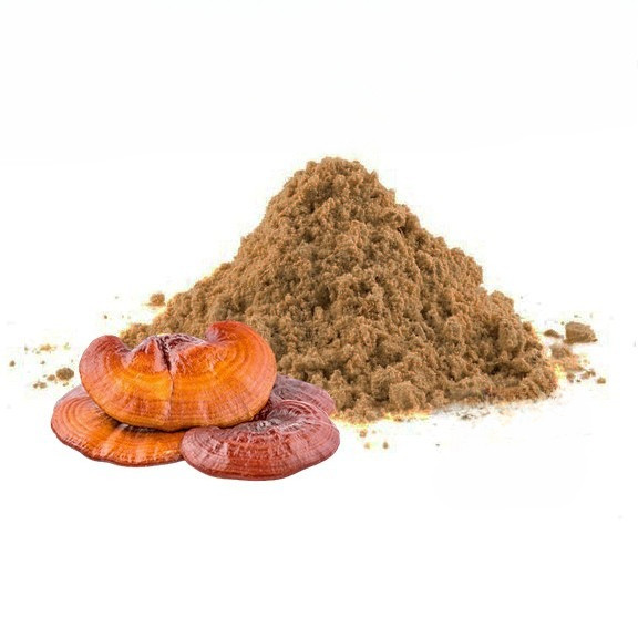 

Reishi Mushroom Extract - Ekstrak Jamur Reishi Asli 100gr