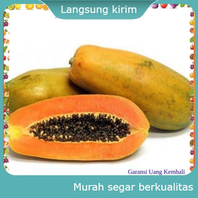 

Pepaya California 1 pcs Buah Buahan Bersih Fresh