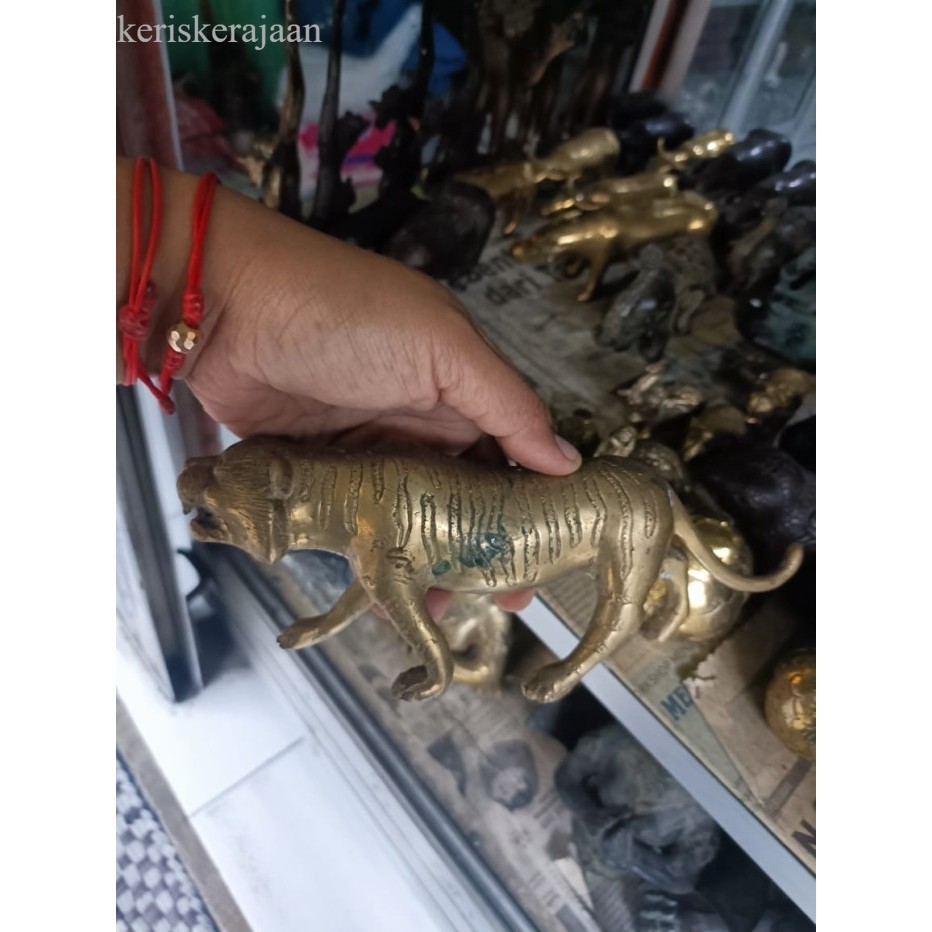 

patung macan emas dari kuningan sepuh majaphit milik patih gajah mada termurah bkKeris sengkelat majapahit mataram kartosuro kartasura Surakarta Yogyakarta nagasasra sabuk budaya jawa melayubal antik