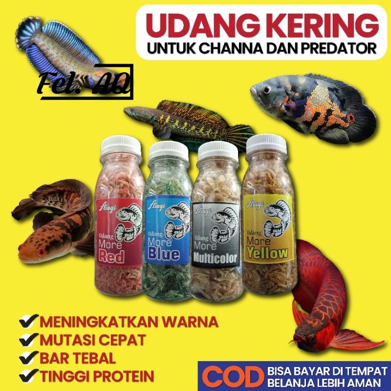 Asagi Udang More Red Blue Yellow 25g Color Carophyll Pakan Ikan Channa Cana Predator Pbass Pulchra M