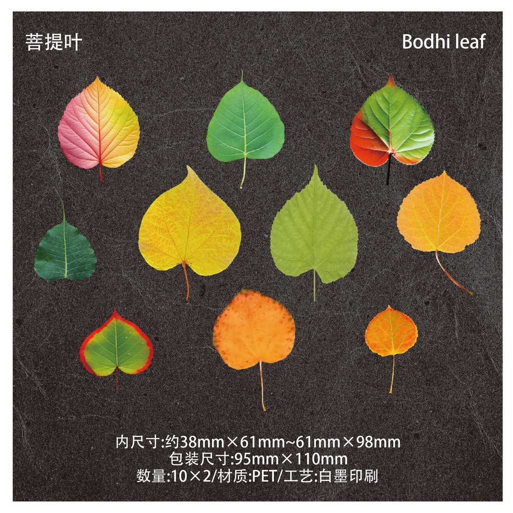 

20 pcs Vintage Fall Leaf Stickers Leaves Stickers Autumn PET Transparent Decorative Plant Series maple leaf Decals for Scrapboo