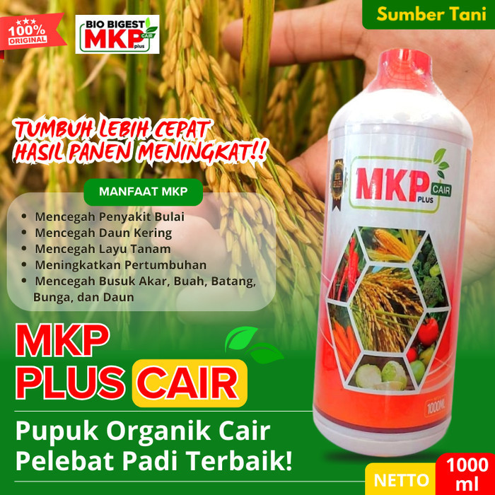 STAN Pupuk Cair Pelebat Tanaman Padi Panen Berlimpah Terbaik MKP BIOGEST