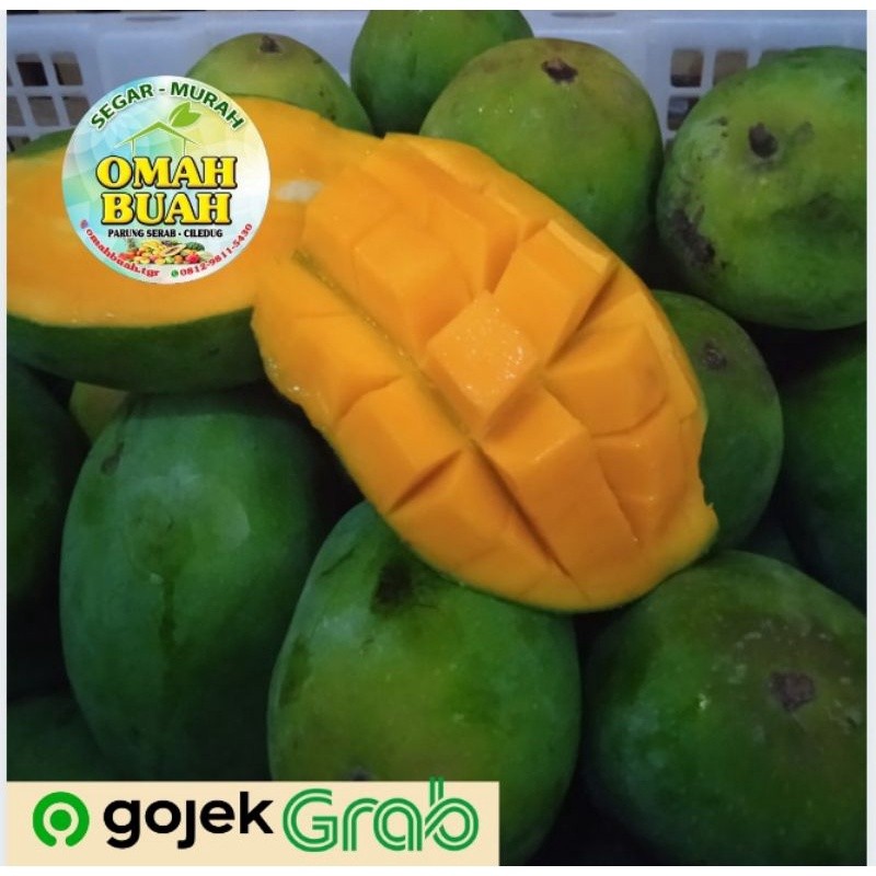 

Mangga Harum Manis 900 gram - 1 Kg