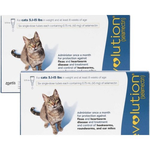 Revolution cat adult blue (1 TUBE)