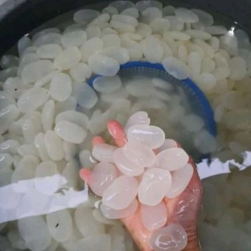 

ready stok kolang kaling super 1kg bahan untuk buah manisan