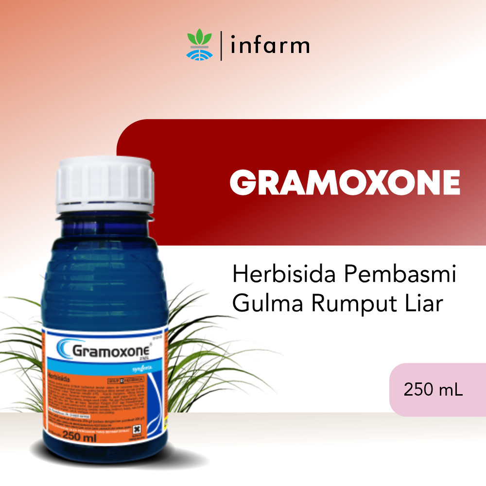 INFARM - Gramoxone 250ml Herbisida Pembasmi Rumput Gulma Liar Racun Rumput Paling Ampuh Sampai Akar 