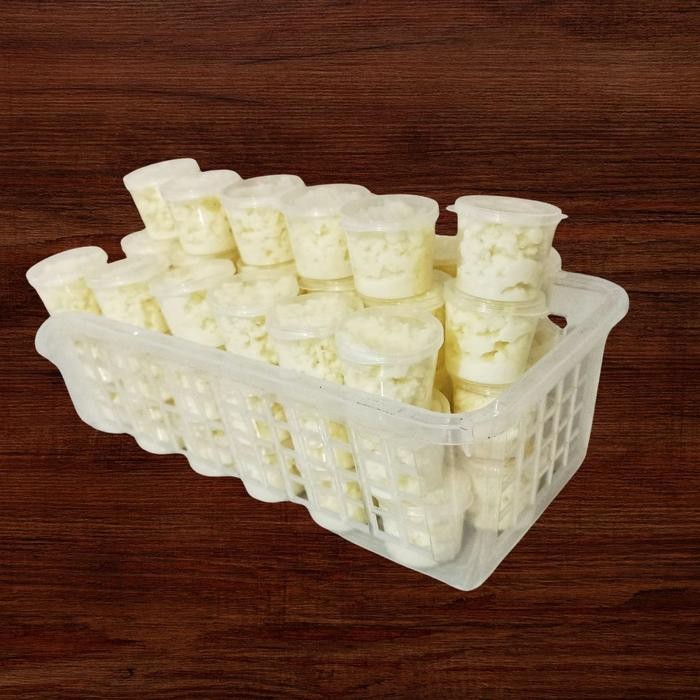 Milk Kefir Grain | Bibit Kefir Susu | FRESA - 20 gram