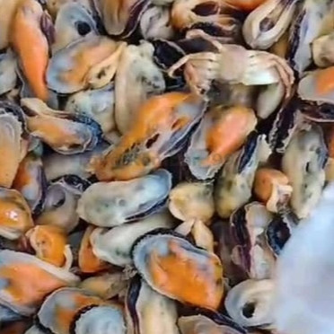 

Kerang Hijau Kupas Segar 1Kg Daging Kerang Ijo