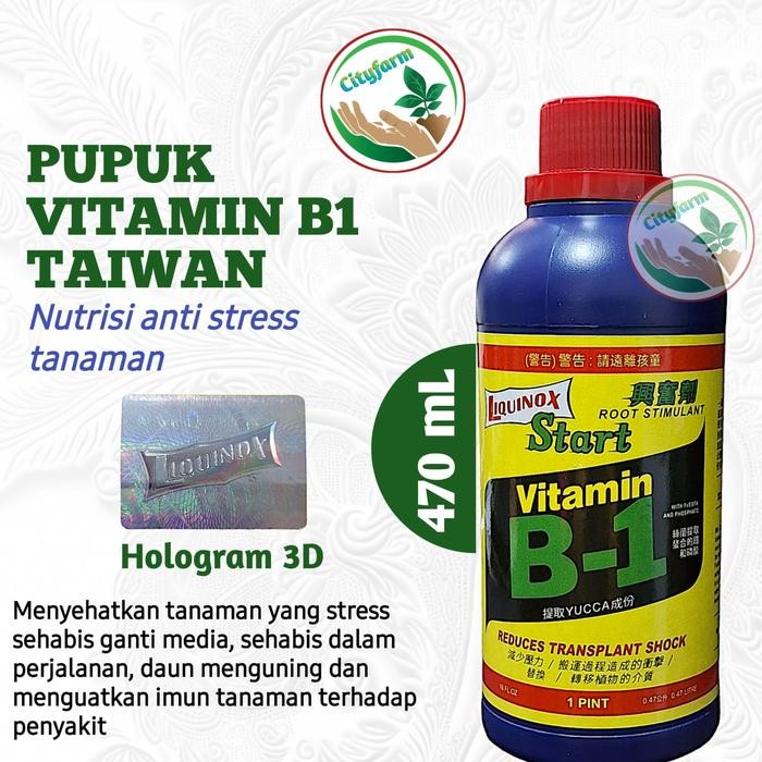 GRATIS ONGKIR Pupuk Vitamin B1 Tanaman Liquinox Start 470ml - B1 Taiwan 470ml
