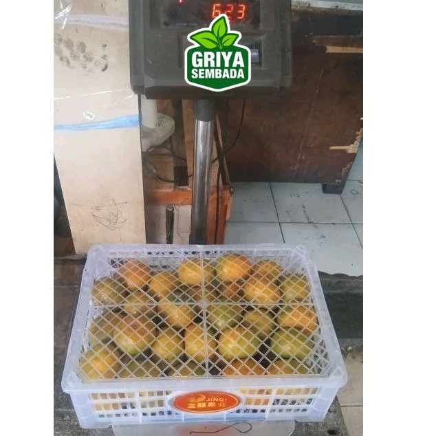 

Grosir Jeruk Medan Manis 1 Keranjang 6kg Griya Sembada