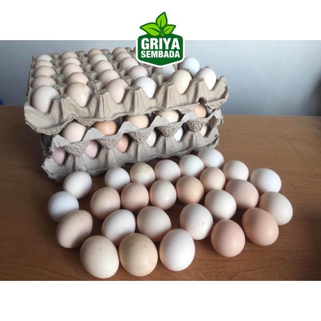 

Telur Ayam Kampung Asli 30 Butir Griya Sembada