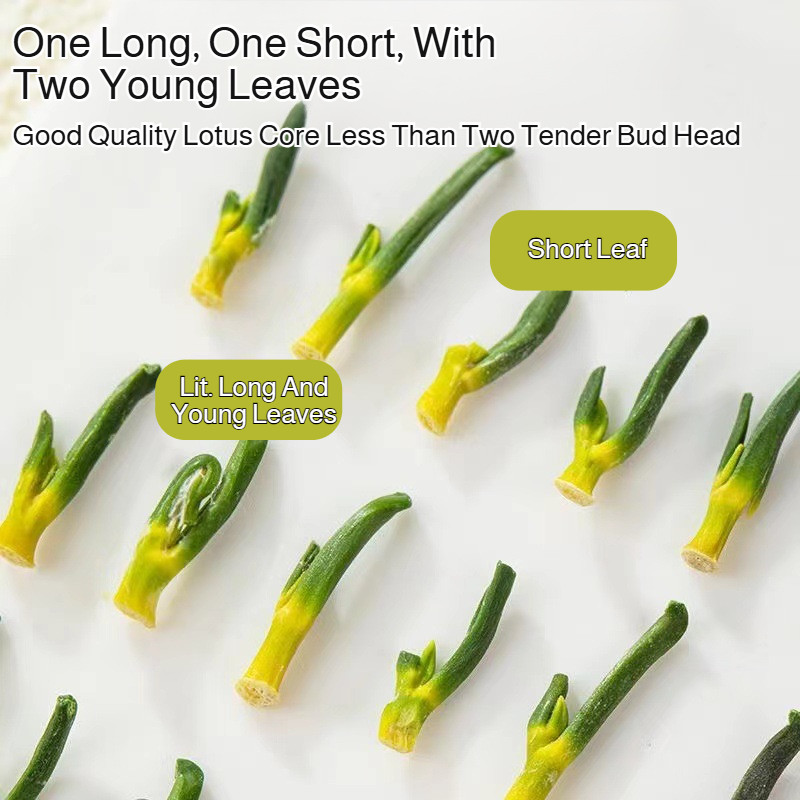 

Produk populer yang sama dengan Douyin dan Kuaishou, teh kesehatan jantung biji teratai asli, membersihkan jantung, mengurangi api, membantu tidur, kantong teh seduh kesehatan