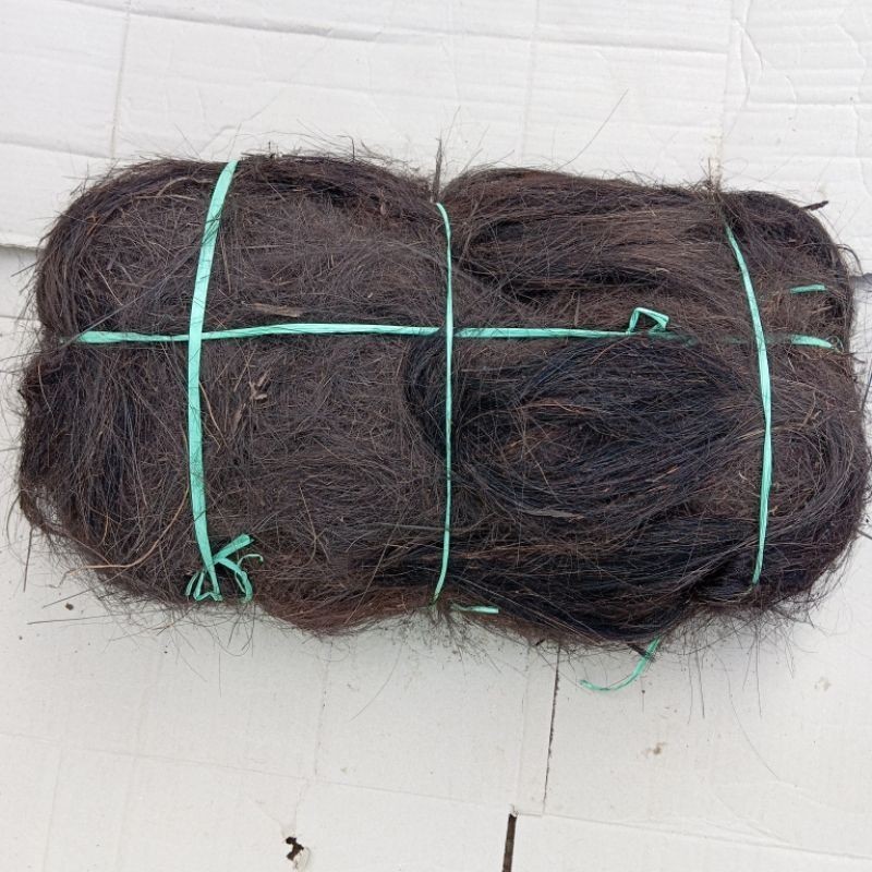 Ijuk aren resapan /ijuk aren filter air/ijuk aren//ijuk septictank/ijuk kakaban 100GR