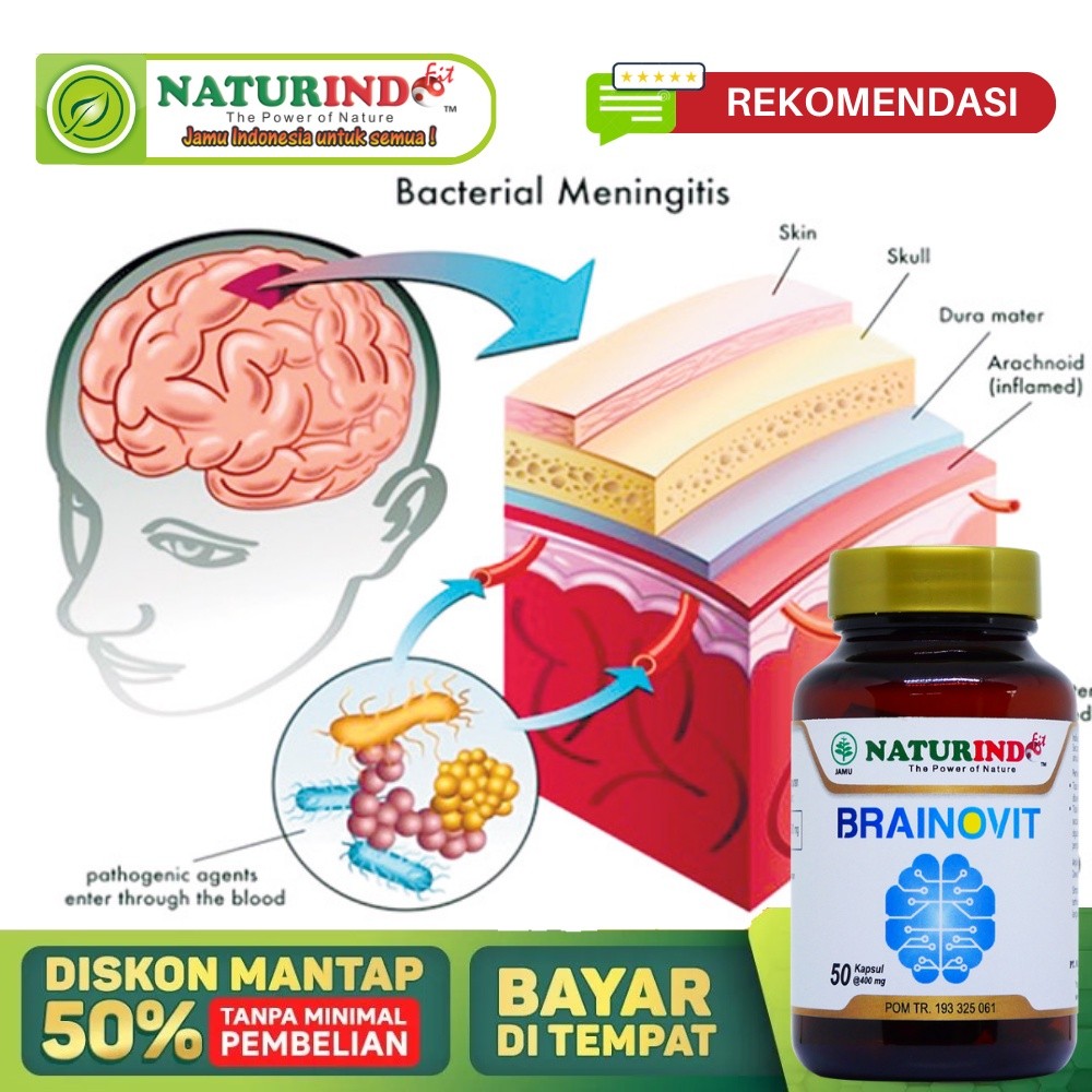 Obat Herbal Radang Selaput Otak Paling Ampuh, Meningitis, Radang Otak, Kerusakan Sel Saraf Otak, Sak