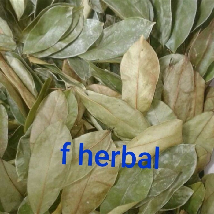 daun sirsak kering