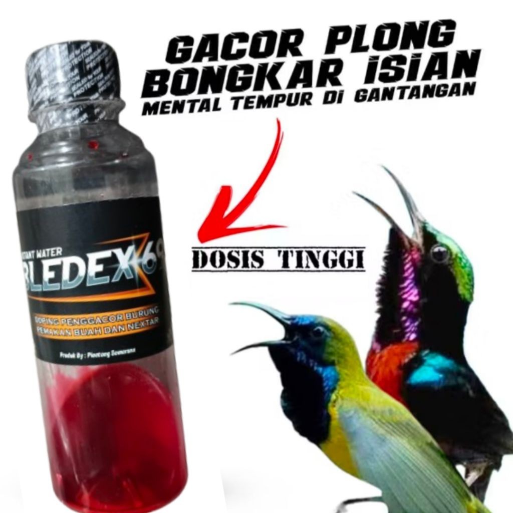 DOPING SOGON KONIN GACOR KONSLET BLEDEX 69 Gacor