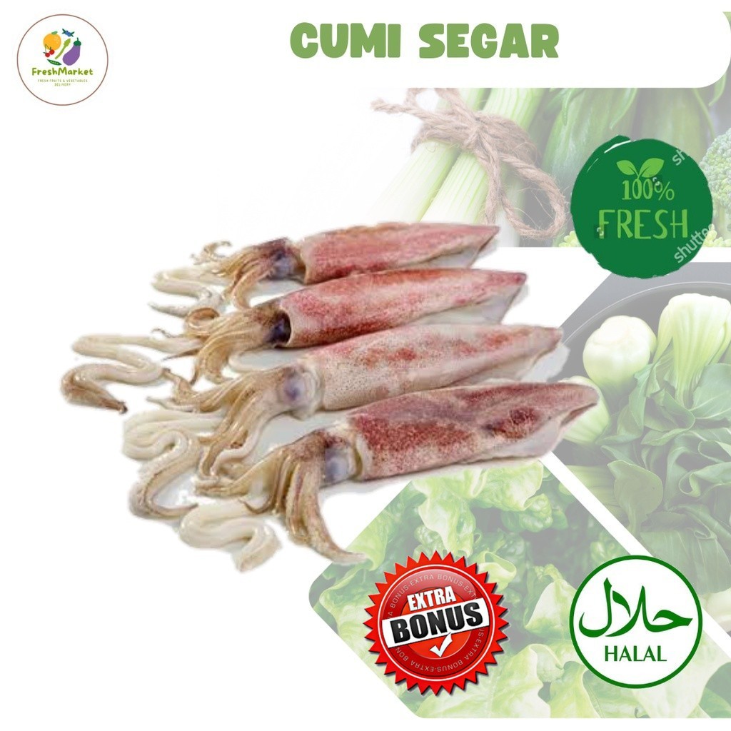 

Cumi Segar 1Kg Sayurinstant