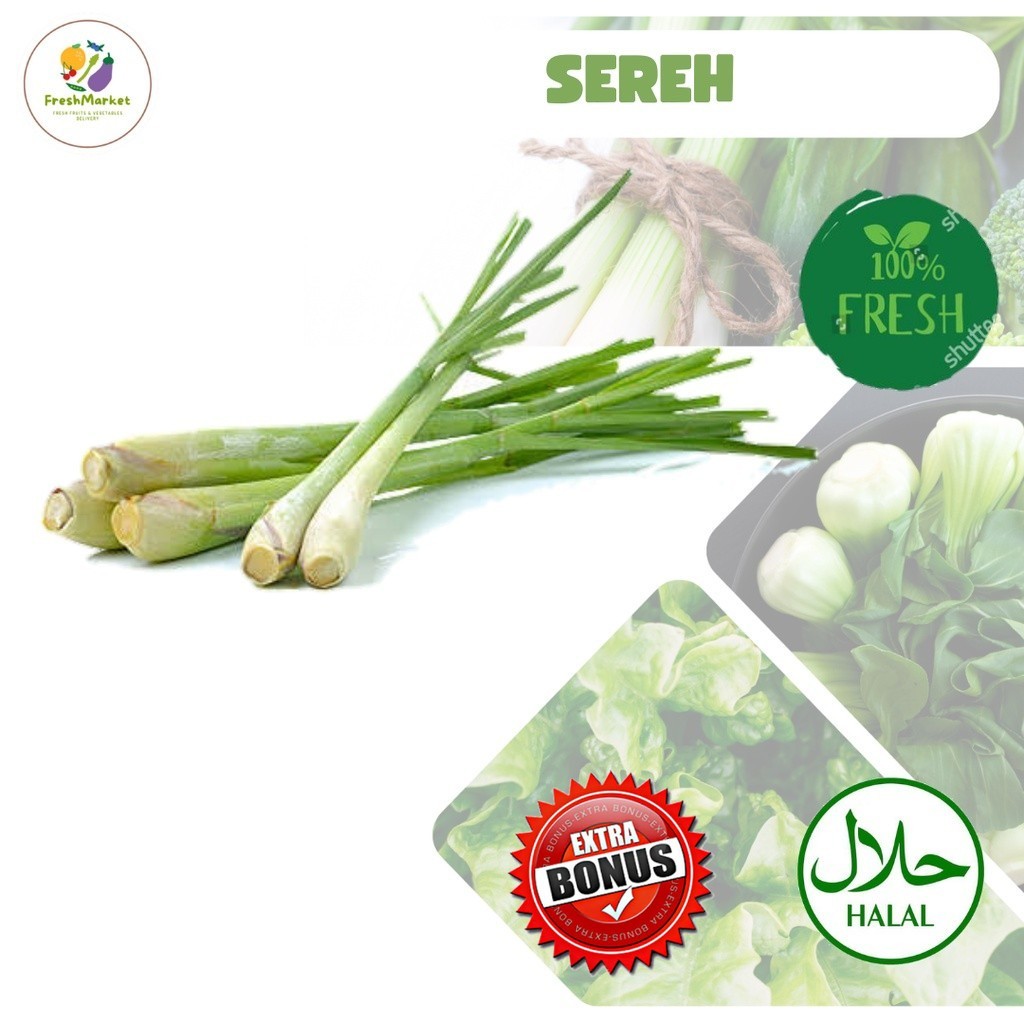 

Serai Sereh Rempah Bumbu Dapur Segar 1 Ikat Sayurinstant