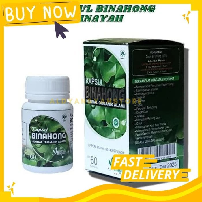 AZ.PARABOT - BINAHONG ORIGINAL KAPSUL DAUN BINAHONG ASLI HERBAL