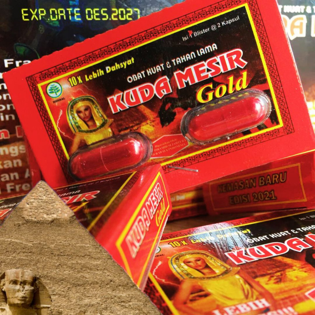 100% original Kuda Mesir Gold By Persada Perabot